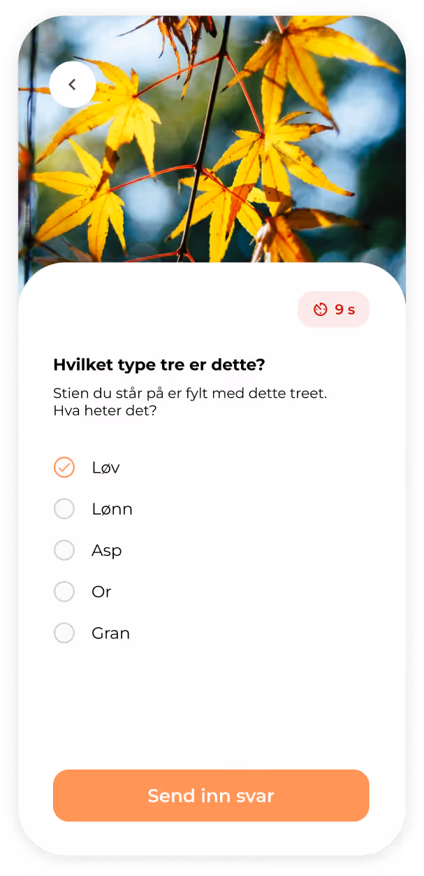 Skjermbilde av produktet Rebus