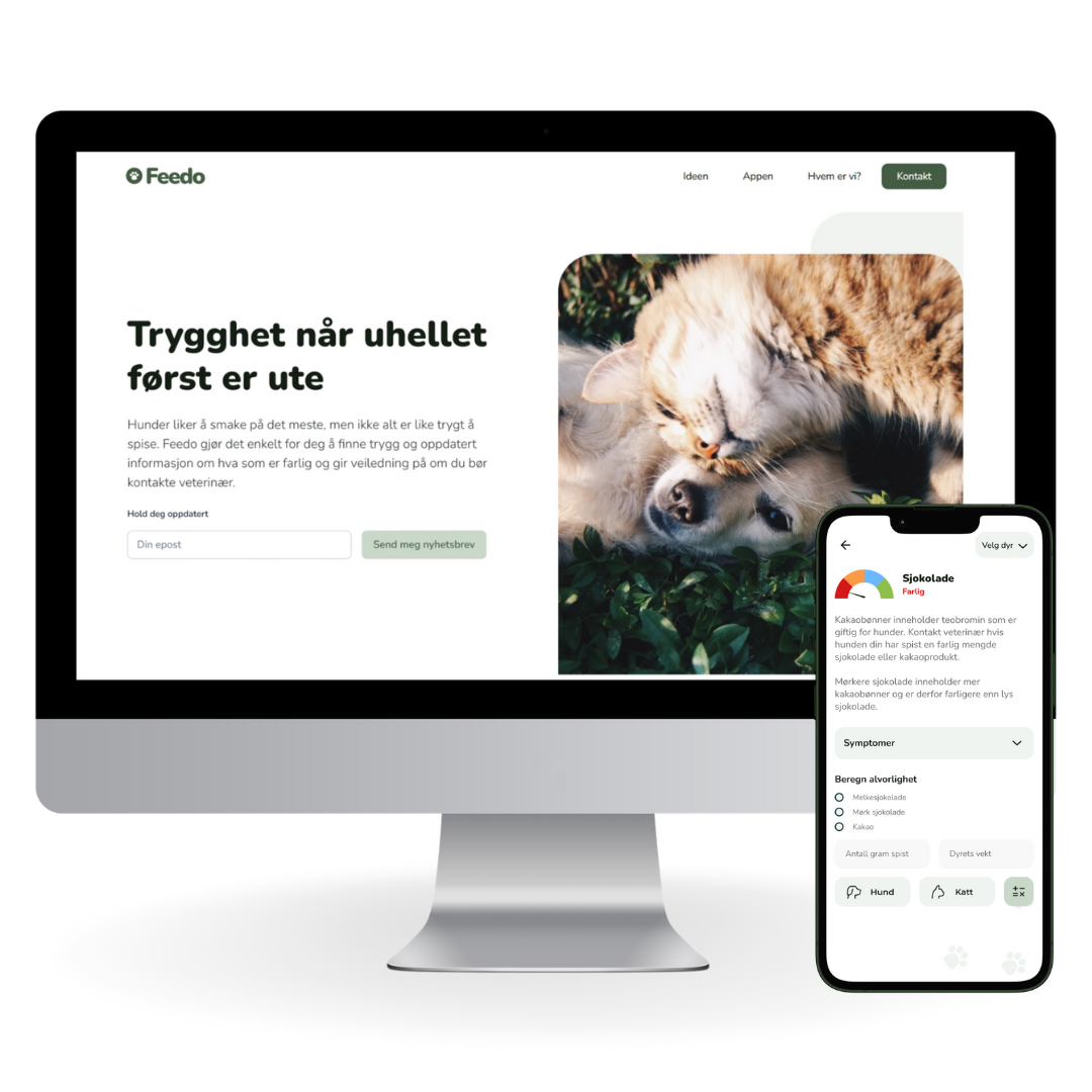 Skjermbilde fra prosjektet Feedoapp - nettside & app
