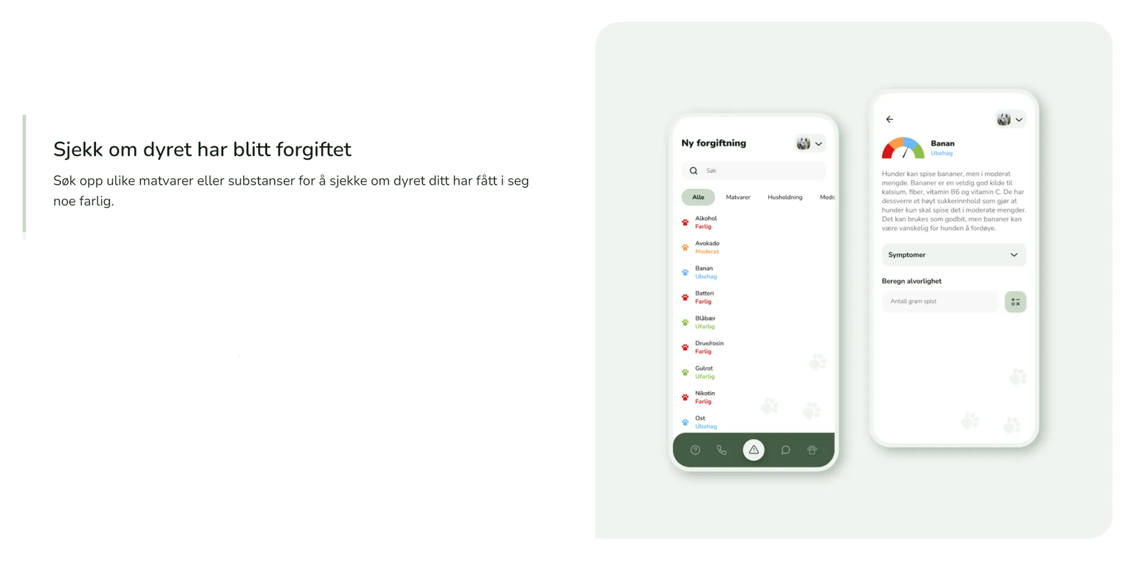 Skjermbilde fra prosjektet Feedoapp - nettside & app